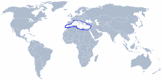 wereldkaart